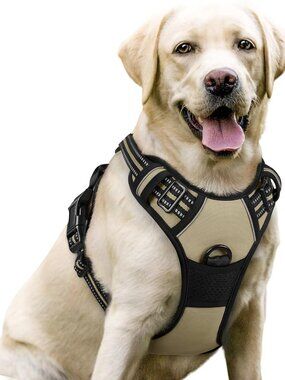 New Rabbitgoo Dog Harness, No Pull for Large Dogs with 2 Leash Clips, Pet Vest
